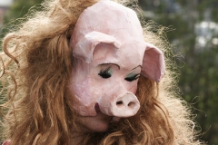 Schwein mit Locken